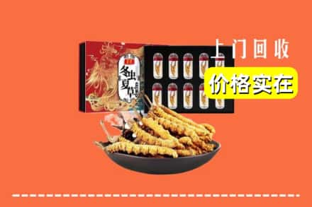 宁德市福安回收冬虫夏草
